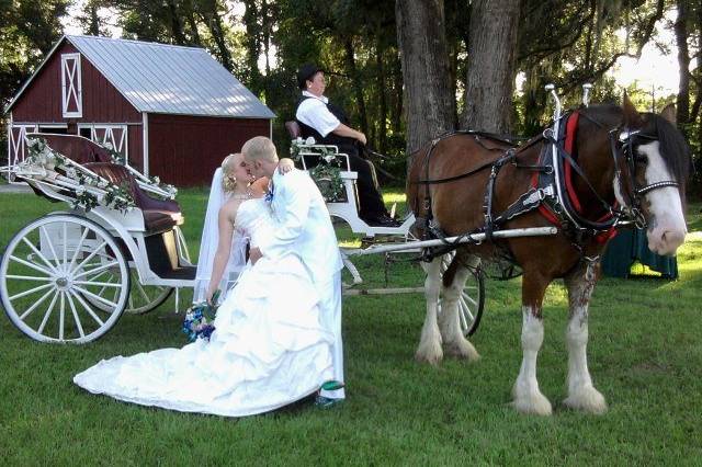 Our Simple Ceremony