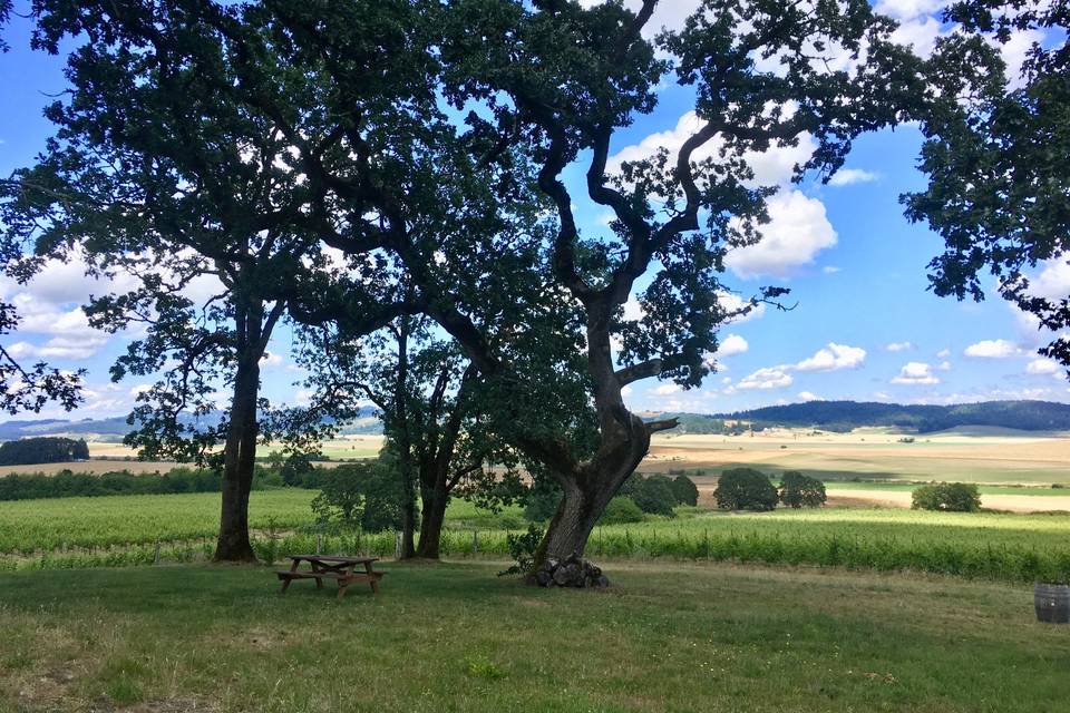 Ceremony Site