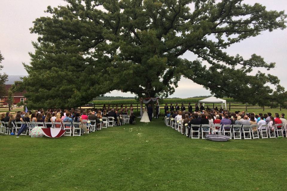 Wedding ceremony