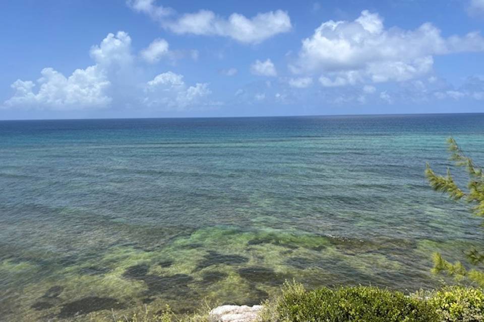 IMG_2746 - Copy.jpg