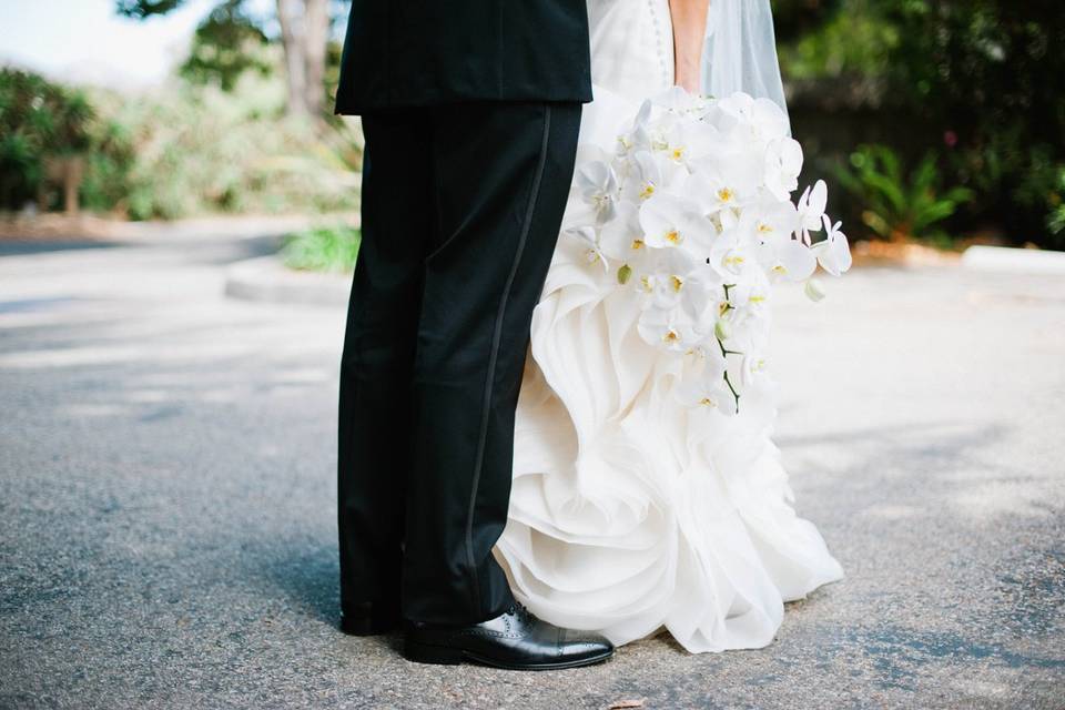 Desiree Shuey Photography