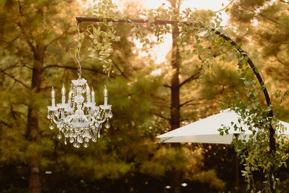 Curved Chandeliers