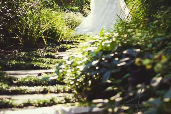 Allure Wedding Photography