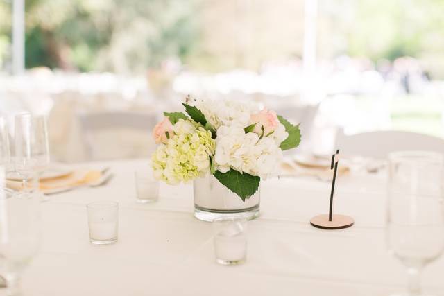 Table set-up