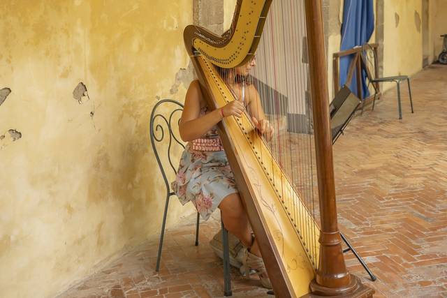 Harpist