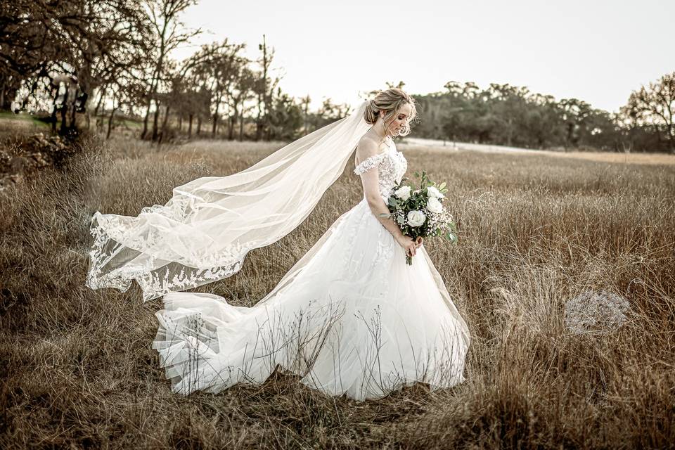 Bridal Photo