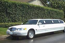 Abbi Limousine