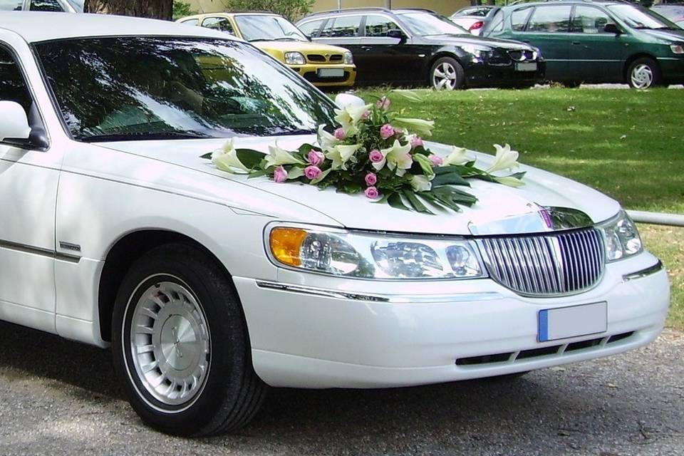 Abbi Limousine