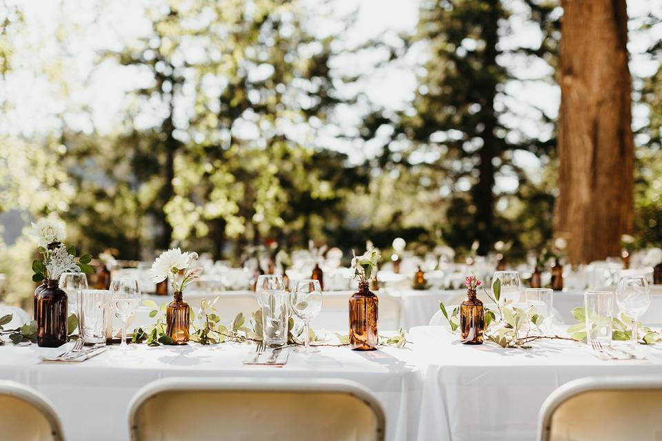 Elegant setting | Photo: Kami Olavarria