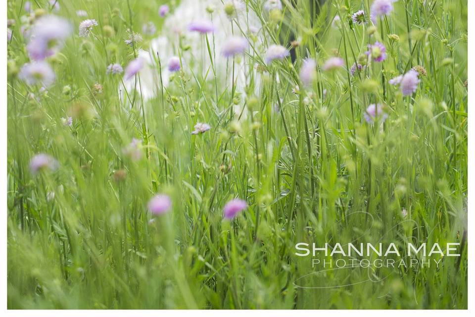 Shanna Mae Photography