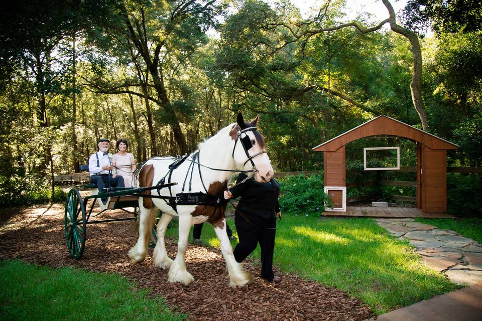 Bridle Oaks Barn