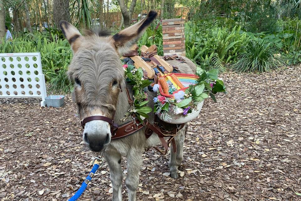 Beer mule