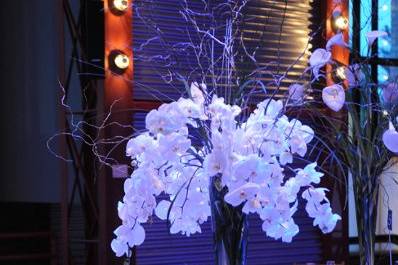 Curly willow and phaleanopsis canopy the diners at Brooklyn Academy of Music.