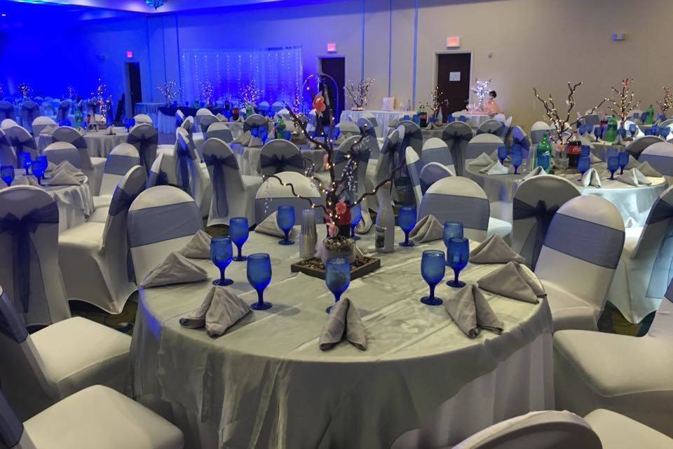 VJ Linens & Decorators-Chair Covers