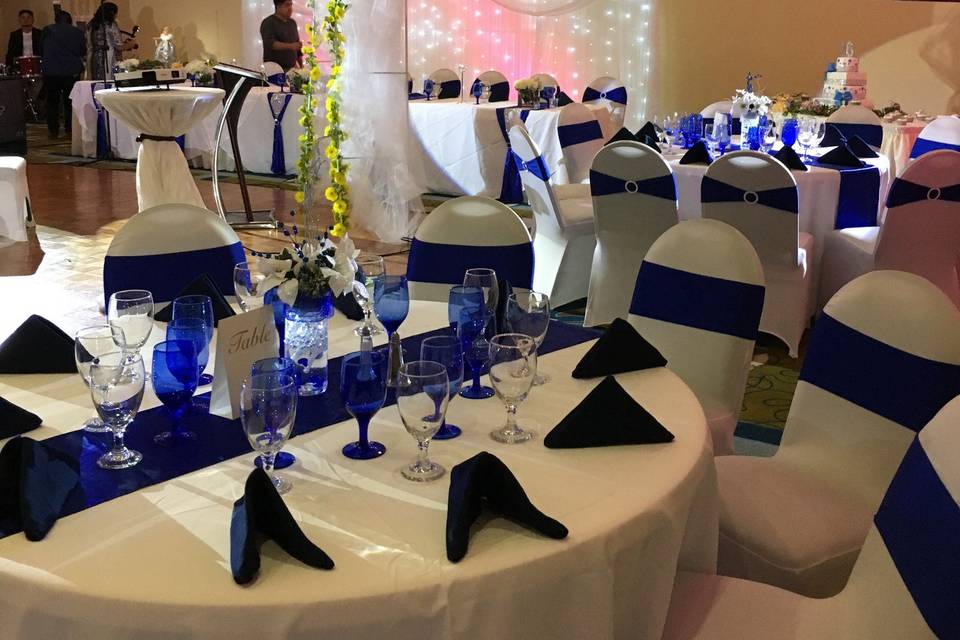 VJ Linens & Decorators-Chair Covers