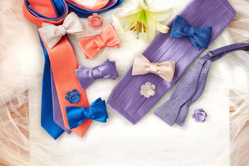 Solid and Paisley Wedding Ties