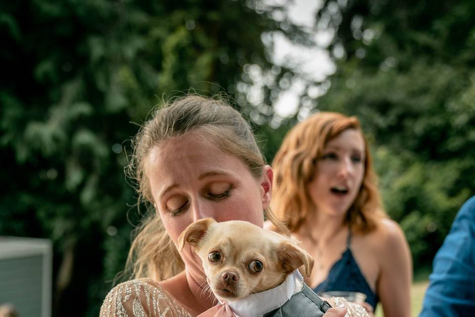 Dapper Pup