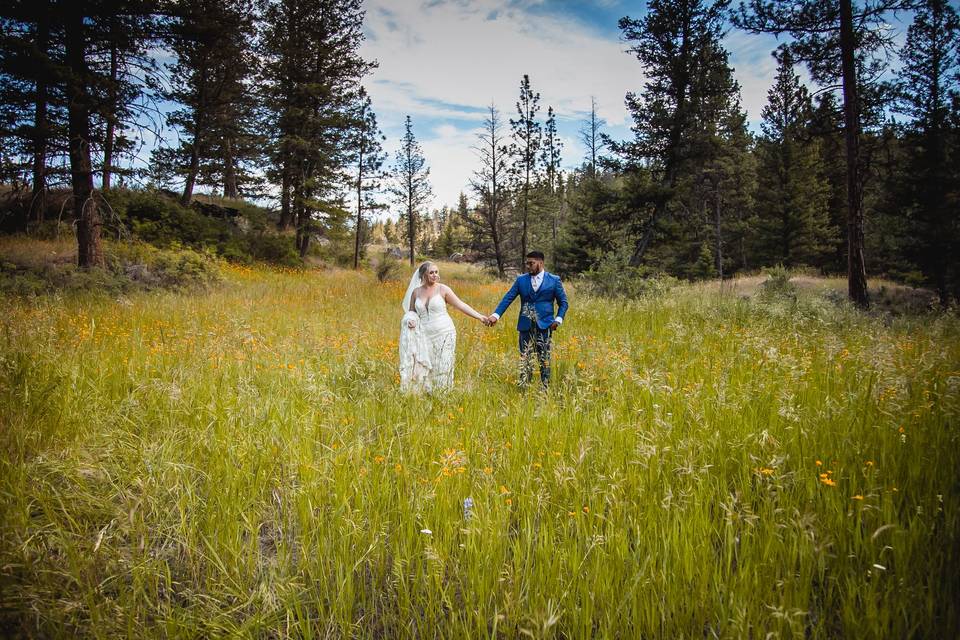 Walking through a field