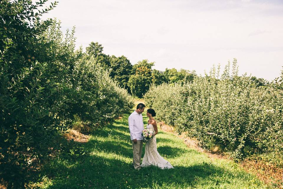 Newlyweds in the vineyard