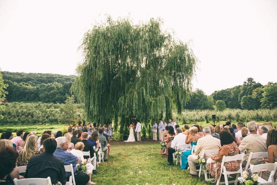 Wedding aisle