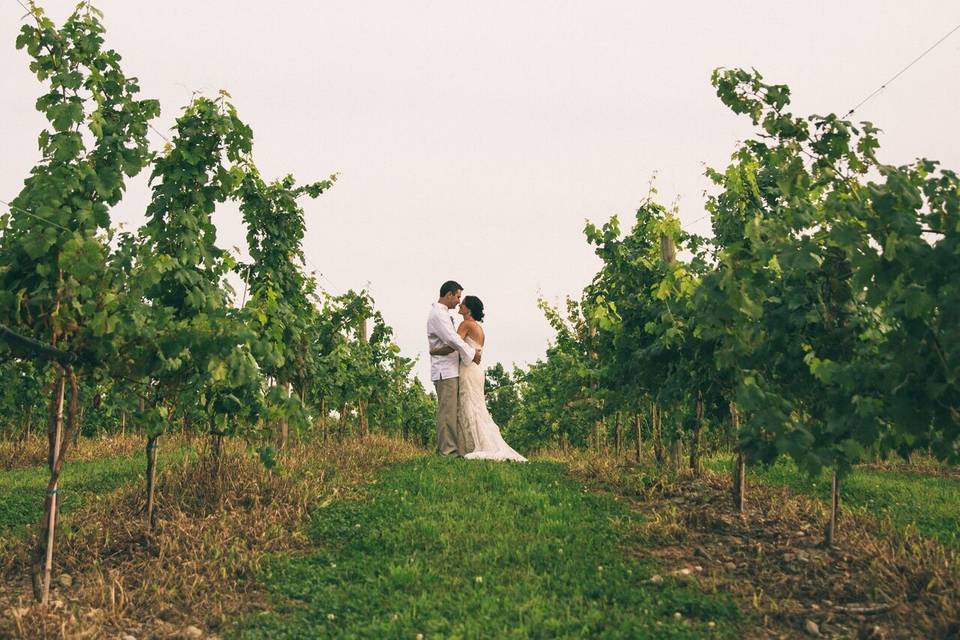 Groom and bride