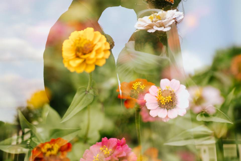 Double exposure