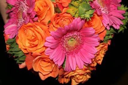 Bright pinks and oranges