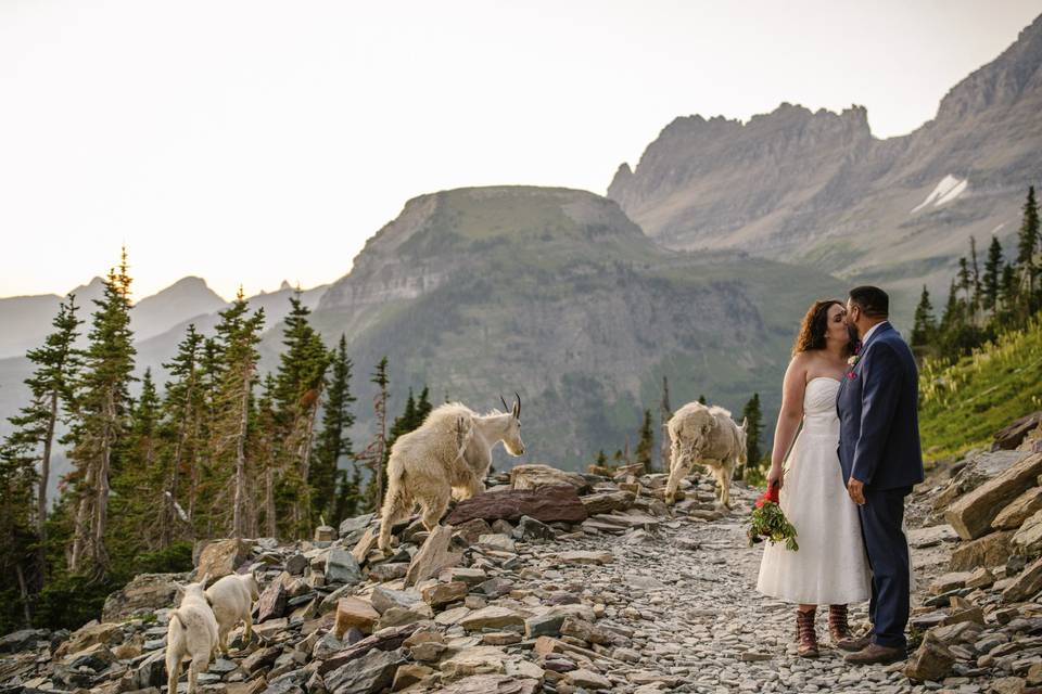 Glacier park elopement