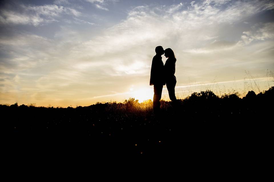 Blue Harvest Photography