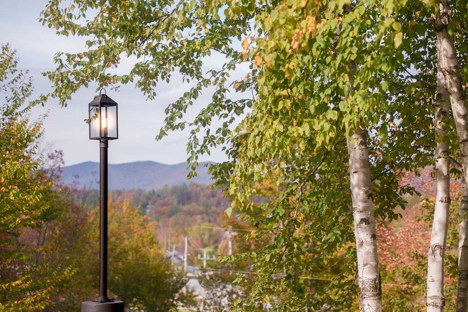 What a view from the Birch!