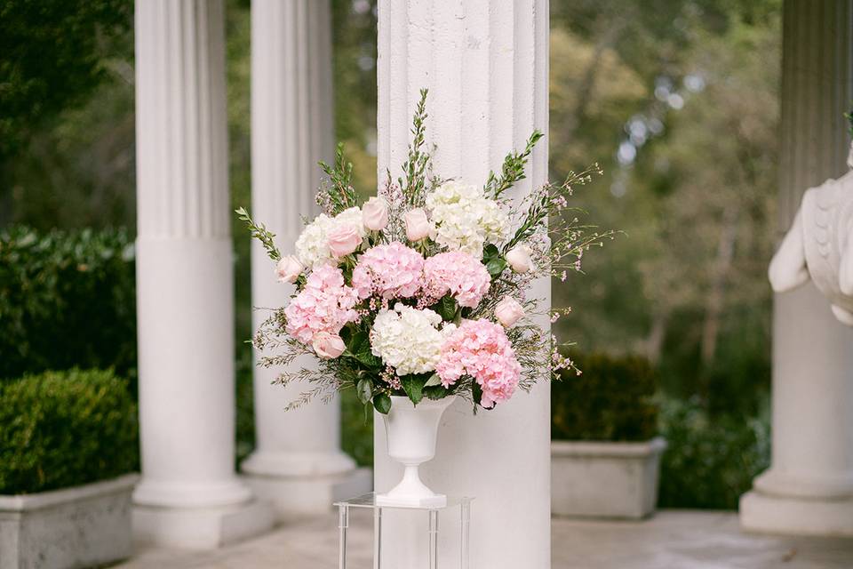 Flora