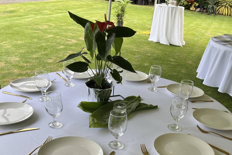 Add your dream reception