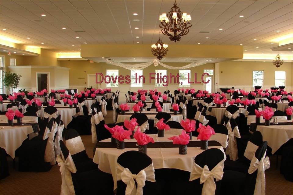 Doves in Flight Decorating / Chair Covers of Lansing