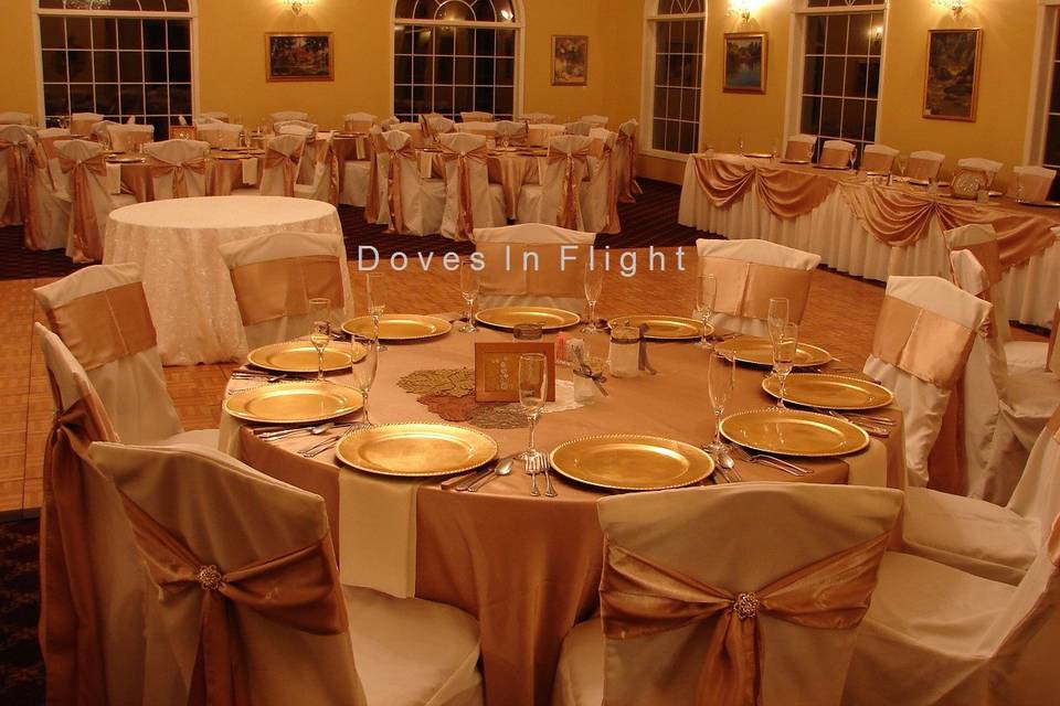 Doves in Flight Decorating / Chair Covers of Lansing