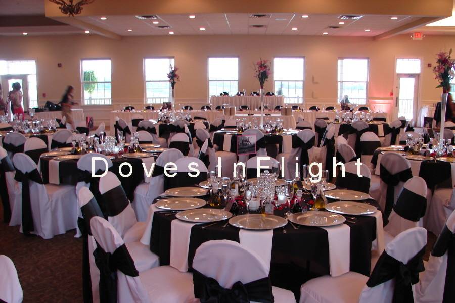 Doves in Flight Decorating / Chair Covers of Lansing