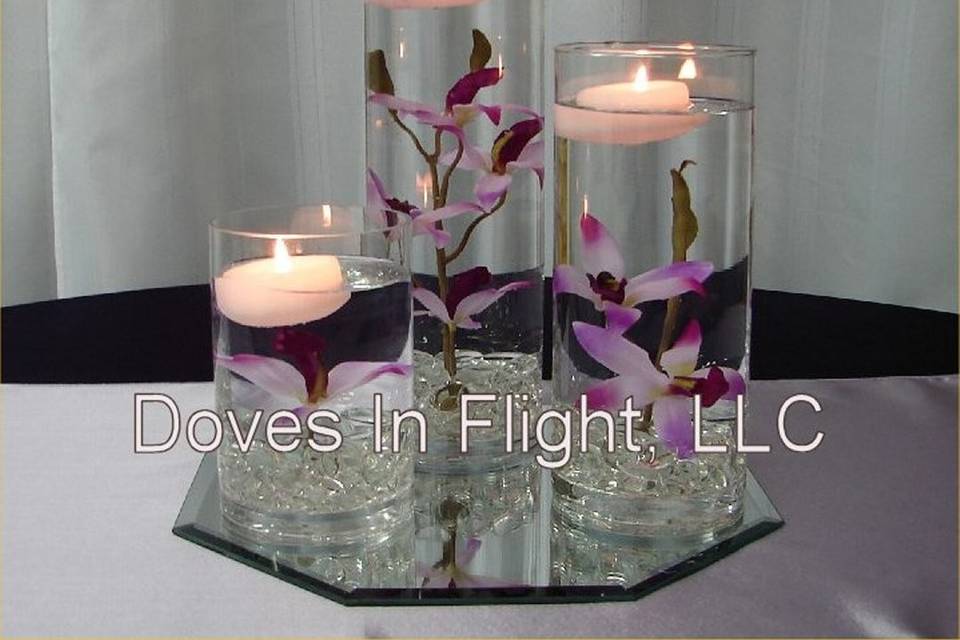 Doves in Flight Decorating / Chair Covers of Lansing