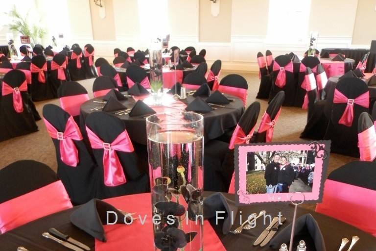 Doves in Flight Decorating/Chair Covers of Lansing