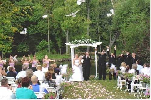 Doves in Flight Decorating/Chair Covers of Lansing