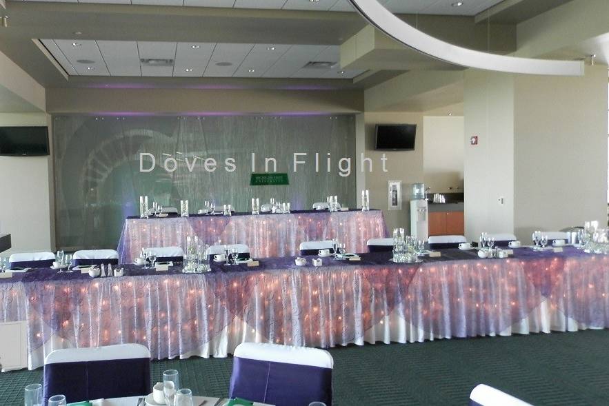 Doves in Flight Decorating / Chair Covers of Lansing