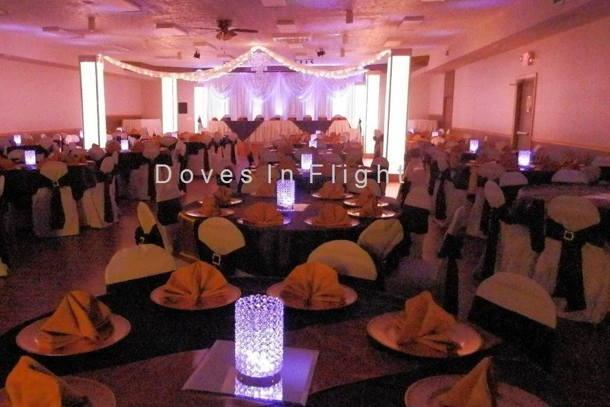 Doves in Flight Decorating / Chair Covers of Lansing