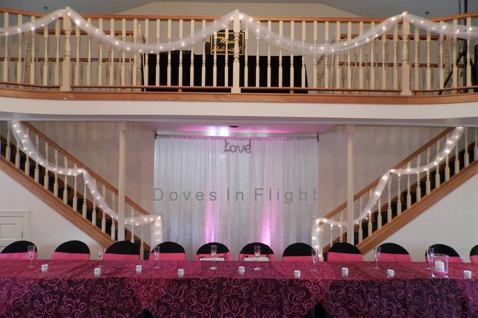 Doves in Flight Decorating/Chair Covers of Lansing