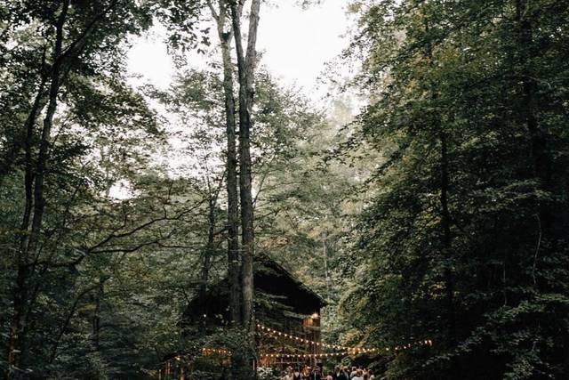Early Fall