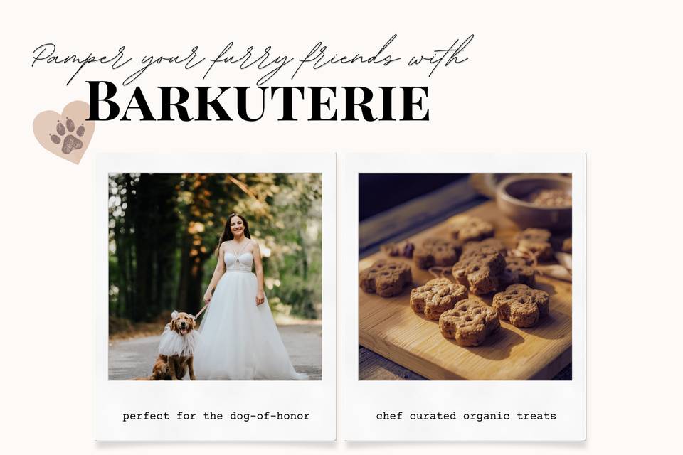 Barkuterie