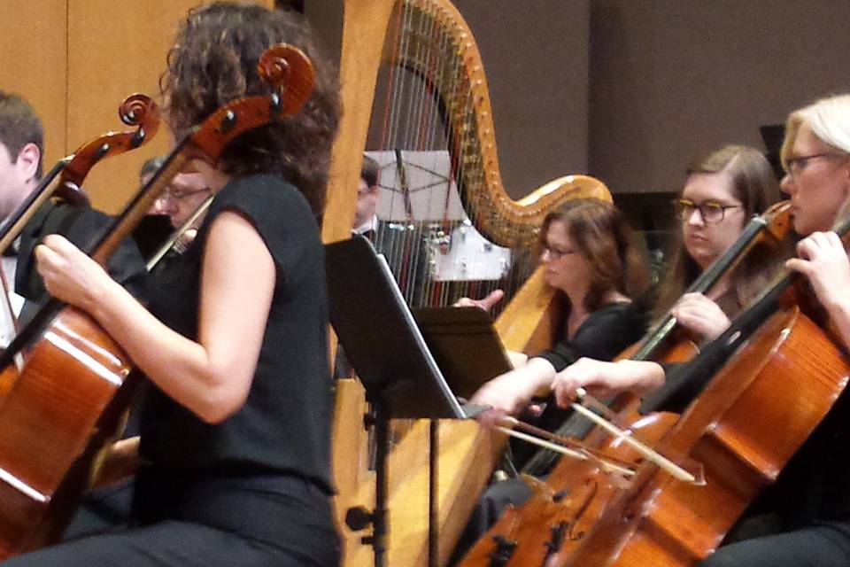 Bethany Evans, Harpist