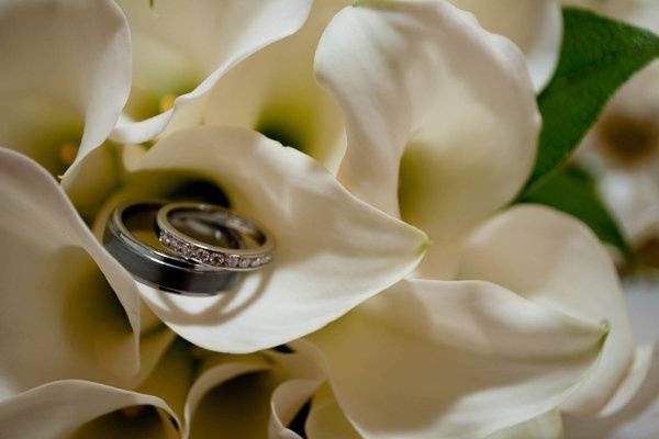 Kristine Palmer Photography