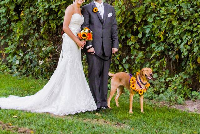 Pet-Friendly Ceremonies