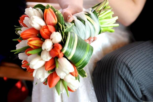 Angela Ryan Photography