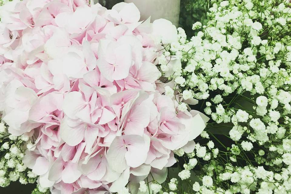 Annika Saks Events and More