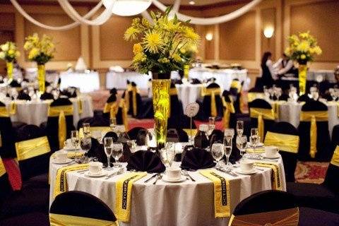 Elegant Chair Cover Designs, LLC