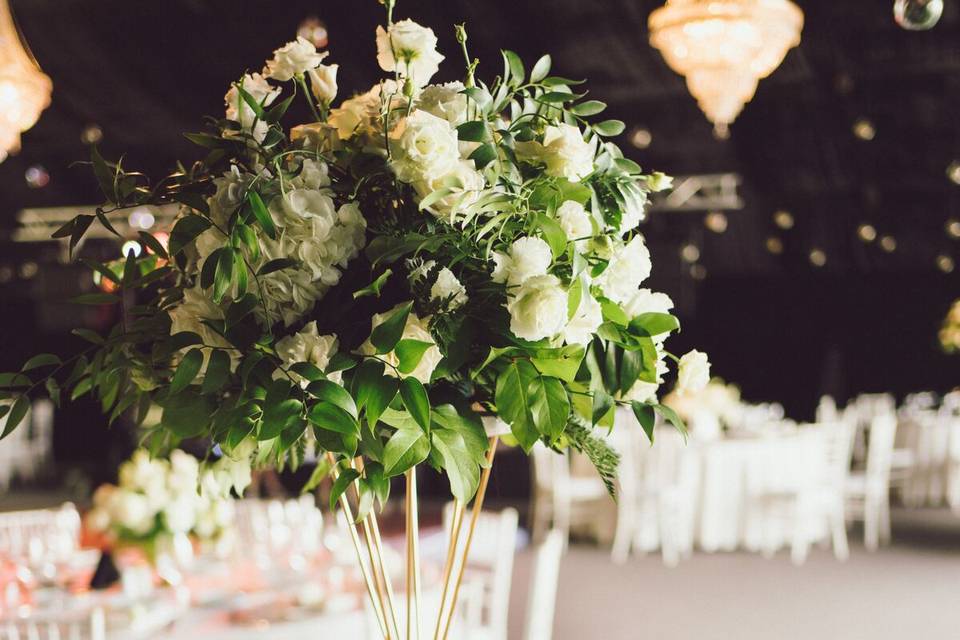 IOANA STAVAR MOMENTS LLC